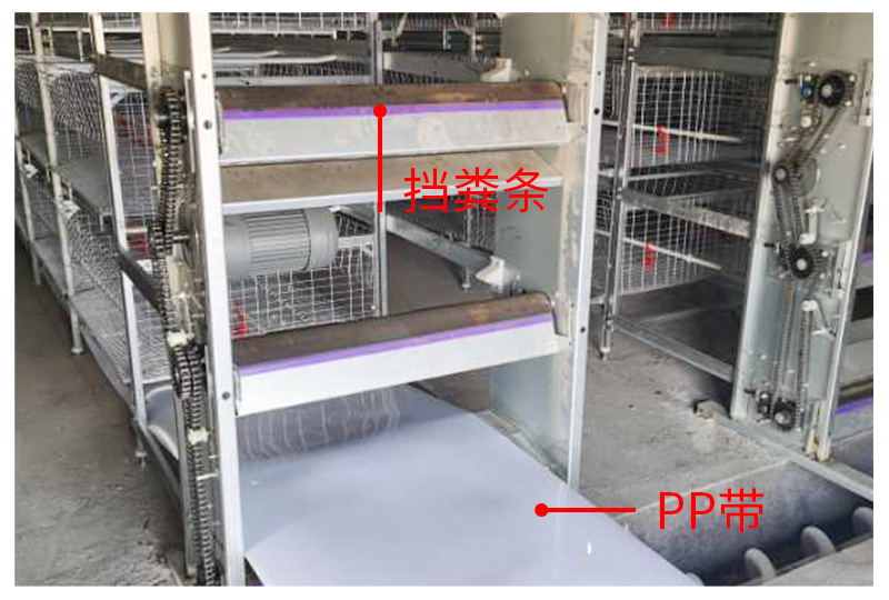 ��S���μS�l